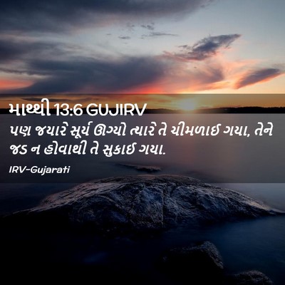 Picture 02 - માથ્થી 13:6 GUJIRV - પણ જયારે સૂર્ય - Bible Verse Picture