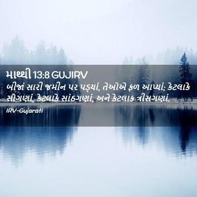 Picture 02 - માથ્થી 13:8 GUJIRV - બીજાં સારી જમીન પર - Bible Verse Picture