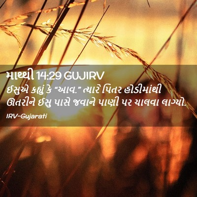 Picture 02 - માથ્થી 14:29 GUJIRV - ઈસુએ કહ્યું કે - Bible Verse Picture