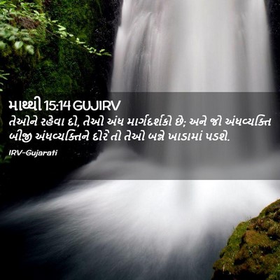 Picture 02 - માથ્થી 15:14 GUJIRV - તેઓને રહેવા દો, તેઓ - Bible Verse Picture