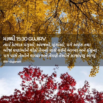 Picture 02 - માથ્થી 15:30 GUJIRV - ત્યારે કેટલાક - Bible Verse Picture