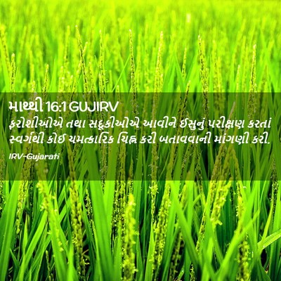 Picture 02 - માથ્થી 16:1 GUJIRV - ફરોશીઓએ તથા - Bible Verse Picture