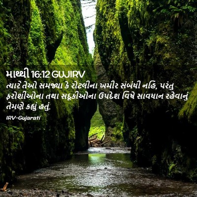 Picture 02 - માથ્થી 16:12 GUJIRV - ત્યારે તેઓ સમજ્યા - Bible Verse Picture
