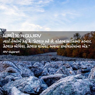 Picture 02 - માથ્થી 16:14 GUJIRV - ત્યારે તેઓએ - Bible Verse Picture