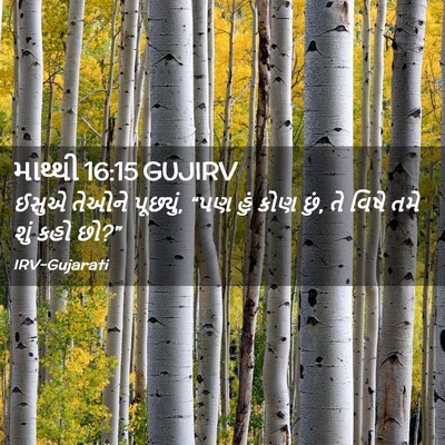 Picture 02 - માથ્થી 16:15 GUJIRV - ઈસુએ તેઓને - Bible Verse Picture