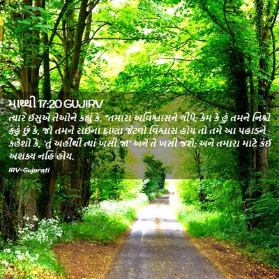 Picture 02 - માથ્થી 17:20 GUJIRV - ત્યારે ઈસુએ તેઓને - Bible Verse Picture