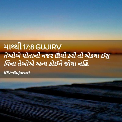 Picture 02 - માથ્થી 17:8 GUJIRV - તેઓએ પોતાની નજર - Bible Verse Picture