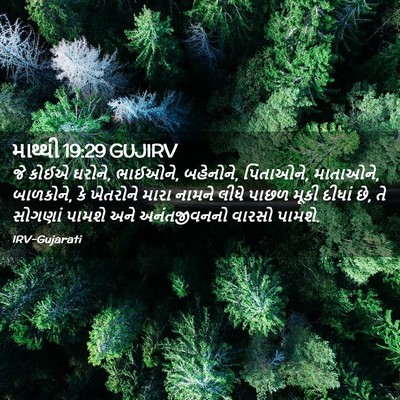 Picture 02 - માથ્થી 19:29 GUJIRV - જે કોઈએ ઘરોને, - Bible Verse Picture