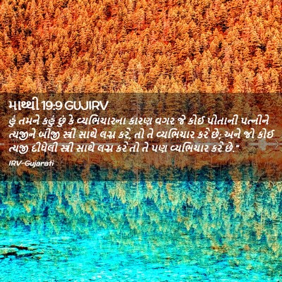 Picture 02 - માથ્થી 19:9 GUJIRV - હું તમને કહું છું - Bible Verse Picture