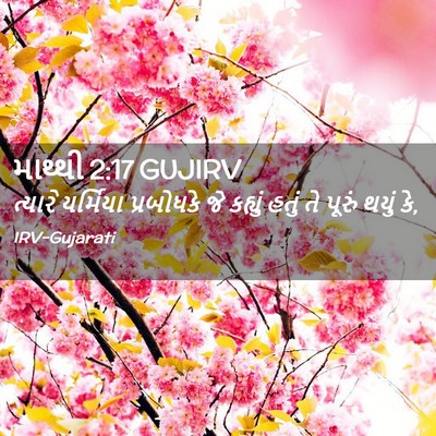 Picture 02 - માથ્થી 2:17 GUJIRV - ત્યારે યર્મિયા - Bible Verse Picture