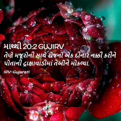 Picture 02 - માથ્થી 20:2 GUJIRV - તેણે મજૂરોની સાથે - Bible Verse Picture