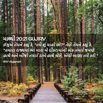 Picture 02 - માથ્થી 20:21 GUJIRV - ઈસુએ તેમને કહ્યું - Bible Verse Picture