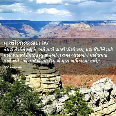 Picture 02 - માથ્થી 20:23 GUJIRV - તેમણે તેઓને - Bible Verse Picture