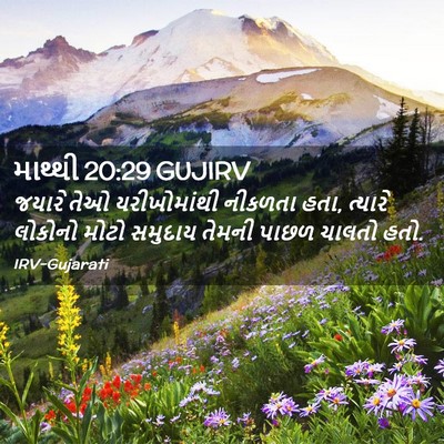 Picture 02 - માથ્થી 20:29 GUJIRV - જયારે તેઓ - Bible Verse Picture