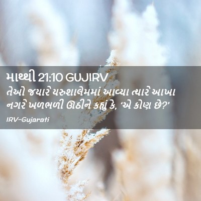 Picture 02 - માથ્થી 21:10 GUJIRV - તેઓ જયારે - Bible Verse Picture