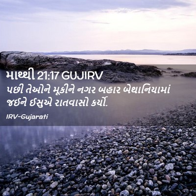 Picture 02 - માથ્થી 21:17 GUJIRV - પછી તેઓને મૂકીને - Bible Verse Picture