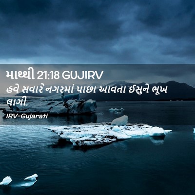 Picture 02 - માથ્થી 21:18 GUJIRV - હવે સવારે નગરમાં - Bible Verse Picture