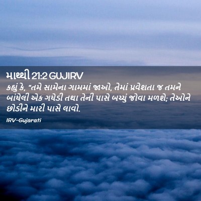 Picture 02 - માથ્થી 21:2 GUJIRV - કહ્યું કે, “તમે - Bible Verse Picture