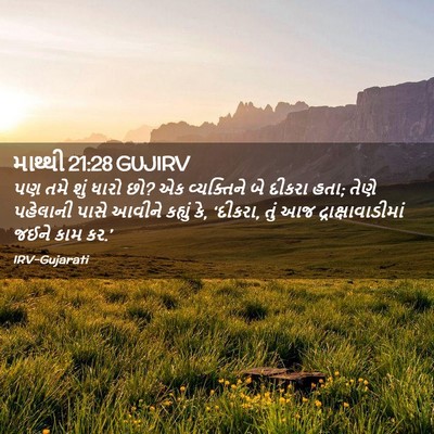 Picture 02 - માથ્થી 21:28 GUJIRV - પણ તમે શું ધારો છો? - Bible Verse Picture