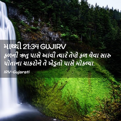 Picture 02 - માથ્થી 21:34 GUJIRV - ફળની ઋતુ પાસે આવી - Bible Verse Picture