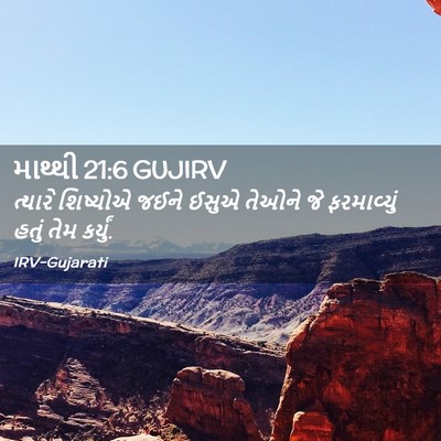 Picture 02 - માથ્થી 21:6 GUJIRV - ત્યારે શિષ્યોએ - Bible Verse Picture