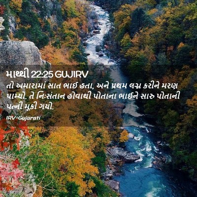 Picture 02 - માથ્થી 22:25 GUJIRV - તો અમારામાં સાત - Bible Verse Picture