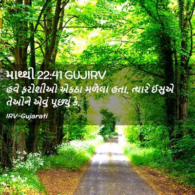 Picture 02 - માથ્થી 22:41 GUJIRV - હવે ફરોશીઓ એકઠા - Bible Verse Picture
