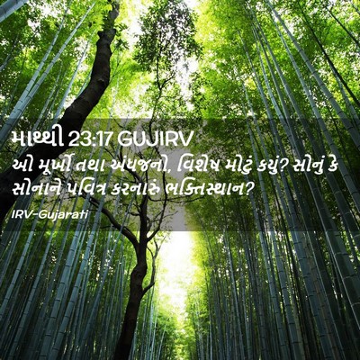 Picture 02 - માથ્થી 23:17 GUJIRV - ઓ મૂર્ખો તથા - Bible Verse Picture