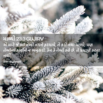 Picture 02 - માથ્થી 23:3 GUJIRV - એ માટે જે કંઈ તેઓ - Bible Verse Picture