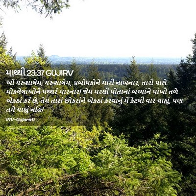 Picture 02 - માથ્થી 23:37 GUJIRV - ઓ યરુશાલેમ, - Bible Verse Picture