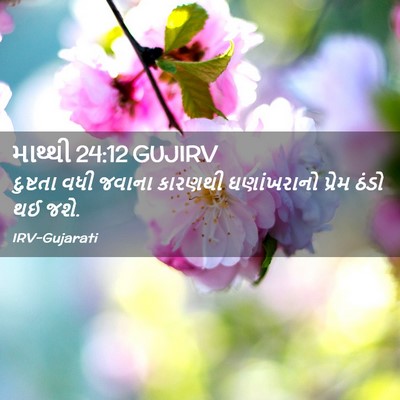 Picture 02 - માથ્થી 24:12 GUJIRV - દુષ્ટતા વધી જવાના - Bible Verse Picture