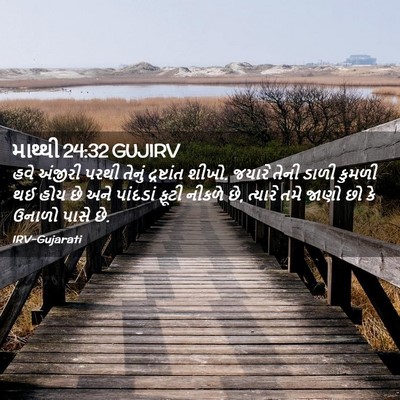 Picture 02 - માથ્થી 24:32 GUJIRV - હવે અંજીરી પરથી - Bible Verse Picture