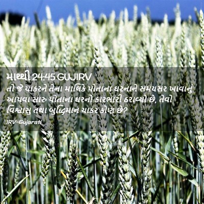 Picture 02 - માથ્થી 24:45 GUJIRV - તો જે ચાકરને તેના - Bible Verse Picture
