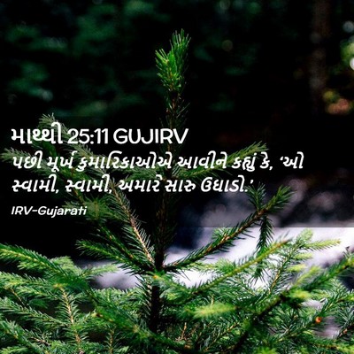 Picture 02 - માથ્થી 25:11 GUJIRV - પછી મૂર્ખ - Bible Verse Picture