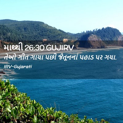Picture 02 - માથ્થી 26:30 GUJIRV - તેઓ ગીત ગાયા પછી - Bible Verse Picture