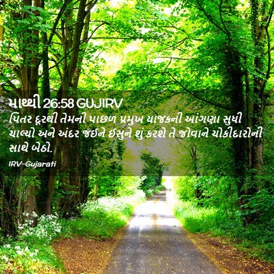 Picture 02 - માથ્થી 26:58 GUJIRV - પિતર દૂરથી તેમની - Bible Verse Picture