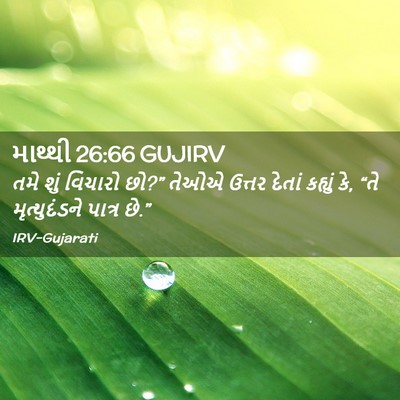 Picture 02 - માથ્થી 26:66 GUJIRV - તમે શું વિચારો છો?” - Bible Verse Picture