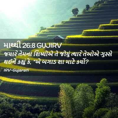 Picture 02 - માથ્થી 26:8 GUJIRV - જયારે તેમના - Bible Verse Picture