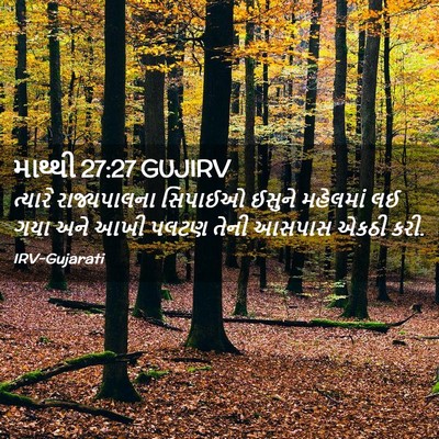 Picture 02 - માથ્થી 27:27 GUJIRV - ત્યારે રાજ્યપાલના - Bible Verse Picture