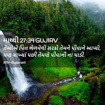 Picture 02 - માથ્થી 27:34 GUJIRV - તેઓએ પિત્ત - Bible Verse Picture