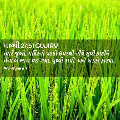 Picture 02 - માથ્થી 27:51 GUJIRV - ત્યારે જુઓ, - Bible Verse Picture