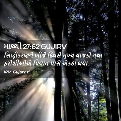 Picture 02 - માથ્થી 27:62 GUJIRV - સિદ્ધીકરણને બીજે - Bible Verse Picture