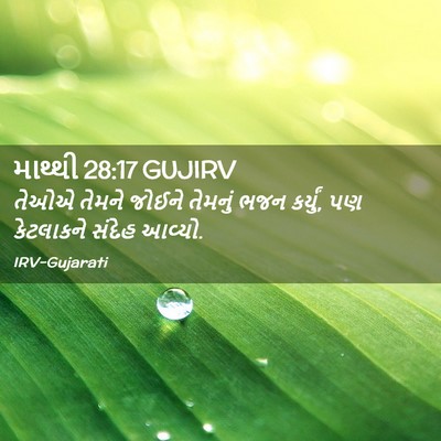 Picture 02 - માથ્થી 28:17 GUJIRV - તેઓએ તેમને જોઈને - Bible Verse Picture