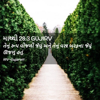 Picture 02 - માથ્થી 28:3 GUJIRV - તેનું રૂપ વીજળી - Bible Verse Picture