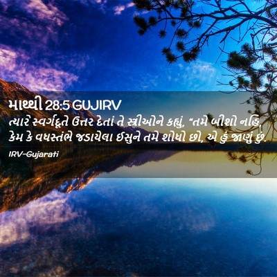 Picture 02 - માથ્થી 28:5 GUJIRV - ત્યારે સ્વર્ગદૂતે - Bible Verse Picture