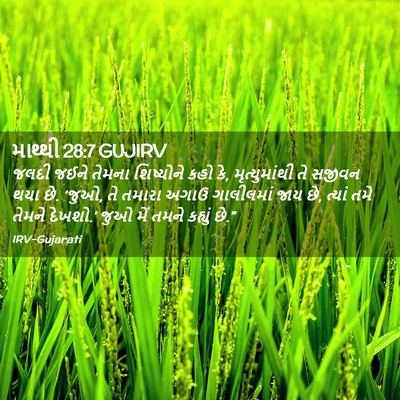 Picture 02 - માથ્થી 28:7 GUJIRV - જલદી જઈને તેમના - Bible Verse Picture