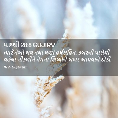 Picture 02 - માથ્થી 28:8 GUJIRV - ત્યારે તેઓ ભય તથા - Bible Verse Picture