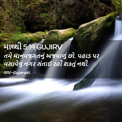 Picture 02 - માથ્થી 5:14 GUJIRV - તમે માનવજગતનું - Bible Verse Picture