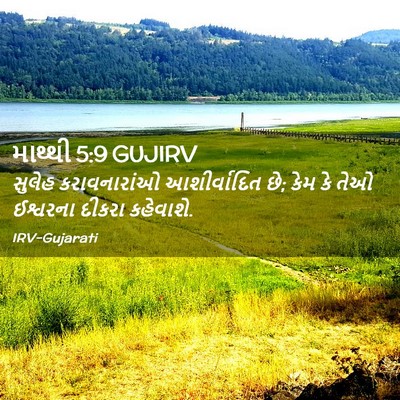 Picture 02 - માથ્થી 5:9 GUJIRV - સુલેહ કરાવનારાંઓ - Bible Verse Picture