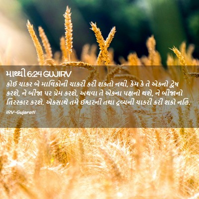 Picture 02 - માથ્થી 6:24 GUJIRV - કોઈ ચાકર બે - Bible Verse Picture